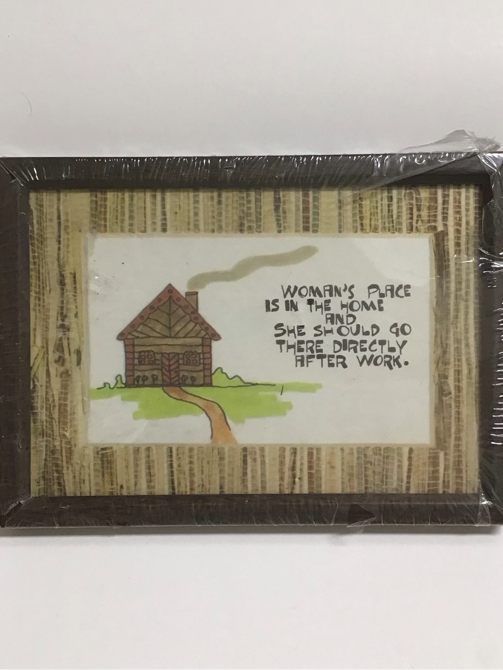 Vintage Framed Picture Working Women at Home Art Feminist 5x7” Brown Frame NEW